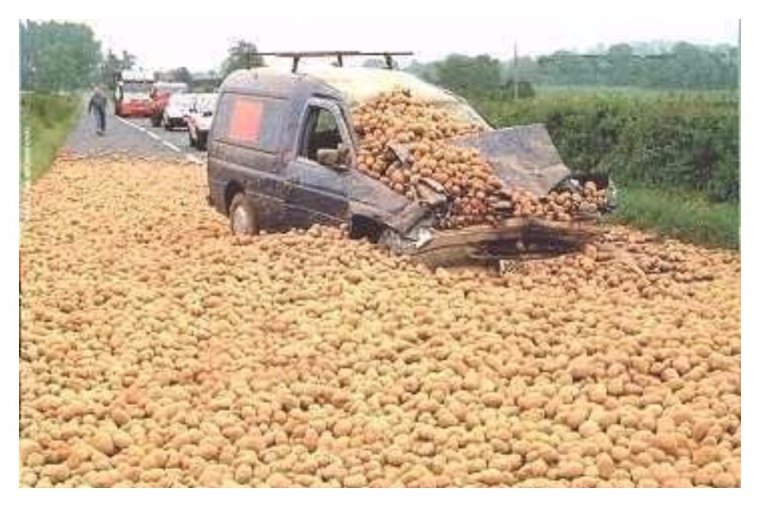 Белорусы копают картошку