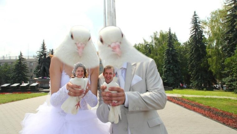Смешной фотошоп свадьба