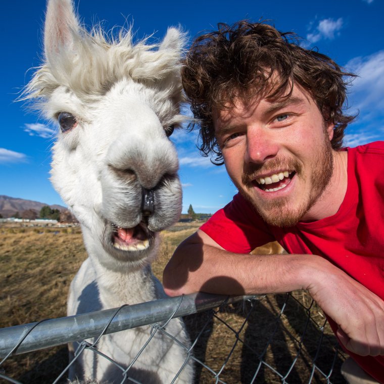 Смешные селфи с животными