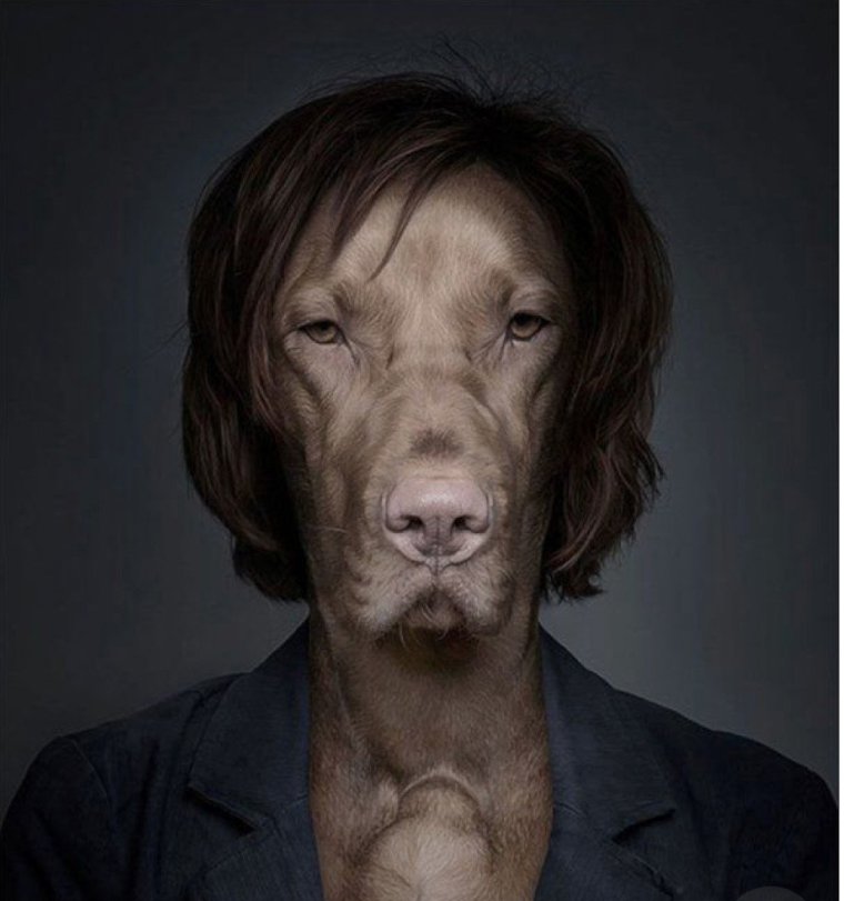 Лицо собаки