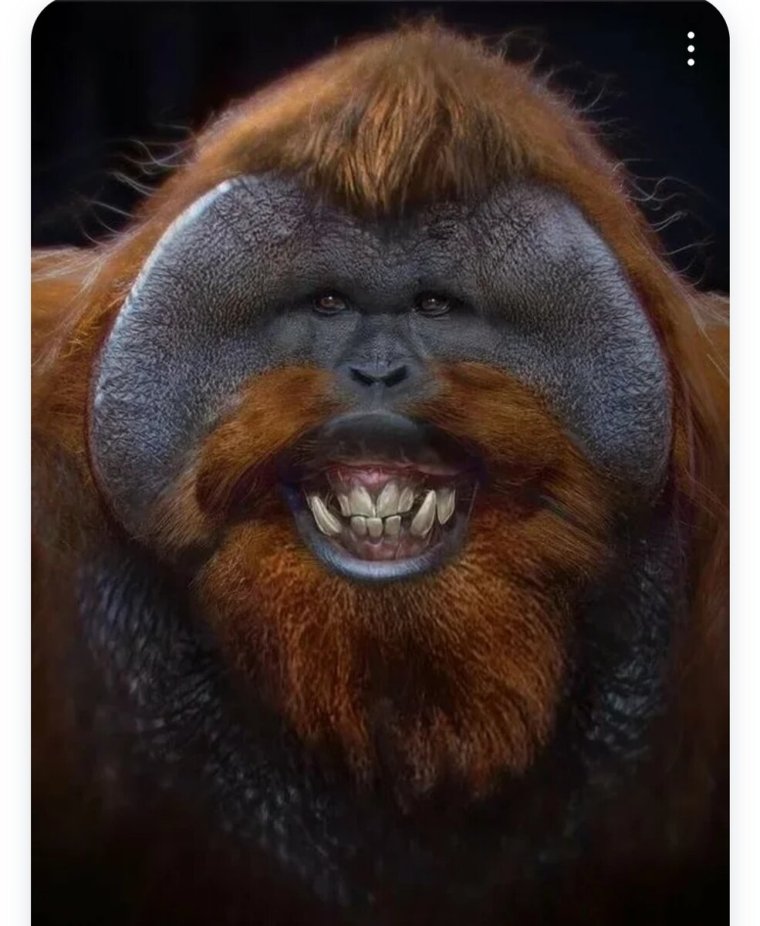 Некрасивая обезьяна