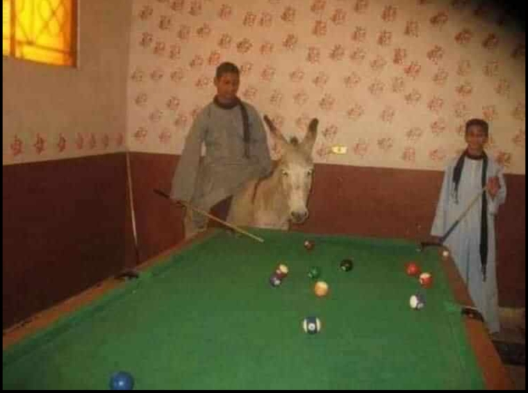 Бильярд прикол