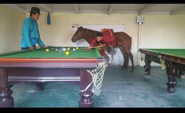 Бильярд прикольные фото