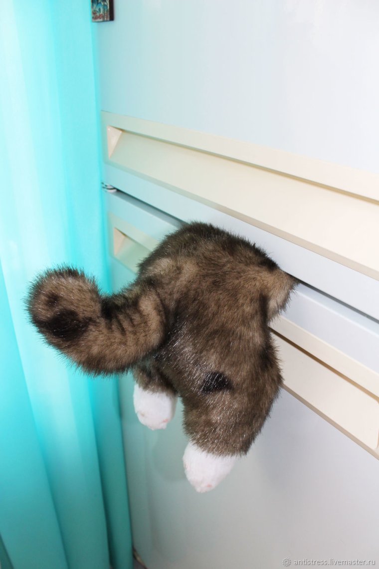 Магнит застрявший кот