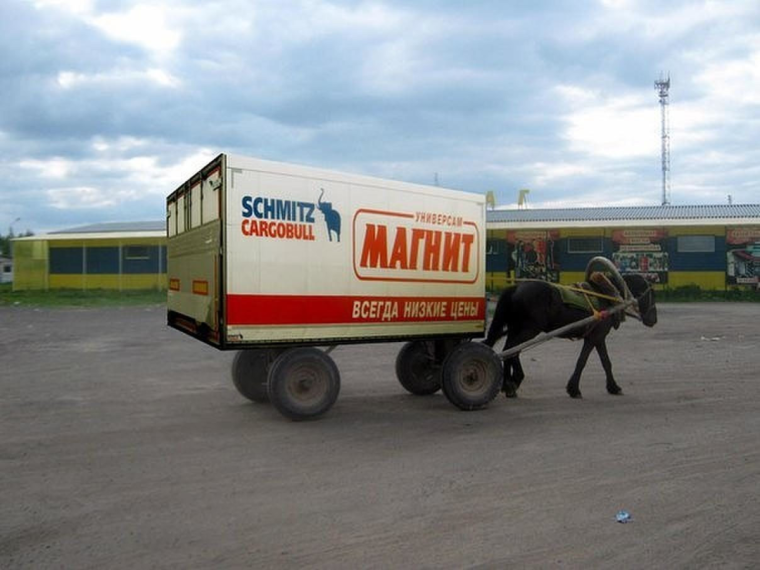 Приколы про магазин магнит
