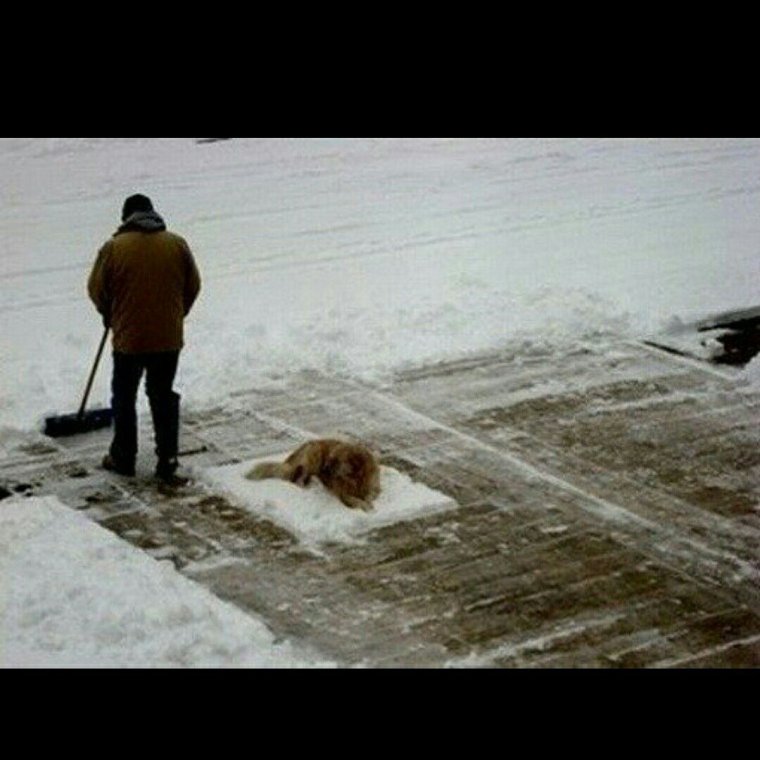 Дворник прикол