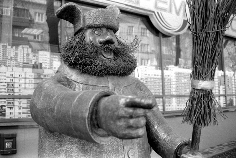 Веселый дворник