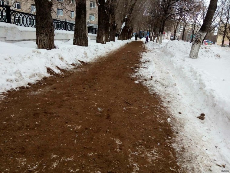 Приколы про дворников