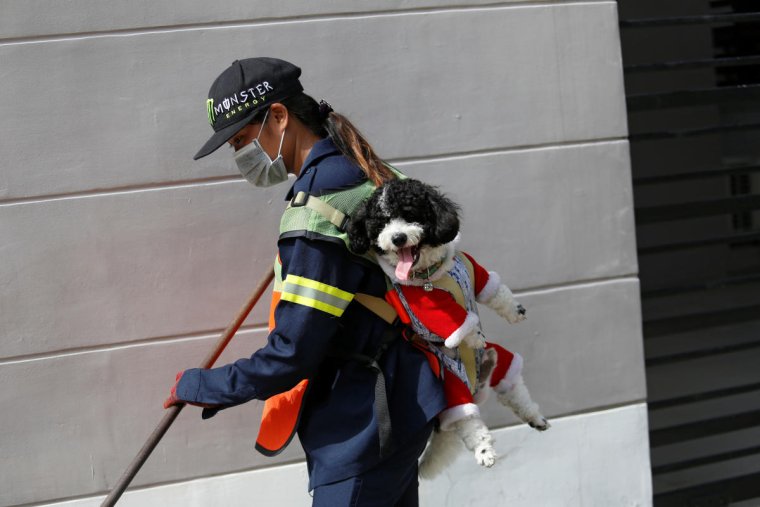 Дворник милый дворник