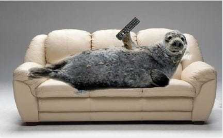 Валяться на диване