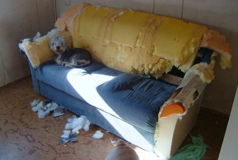 Старый сломанный диван