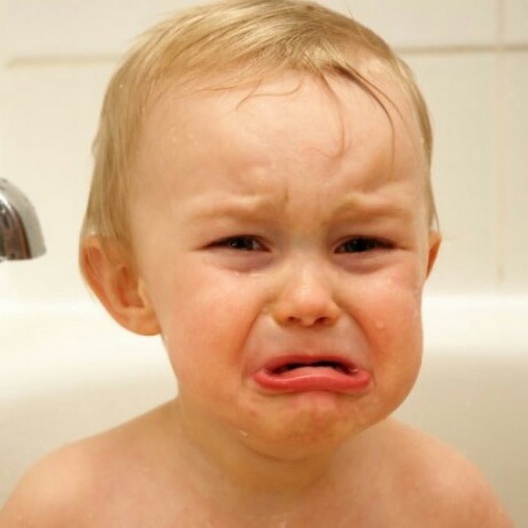 Слюнявый пес