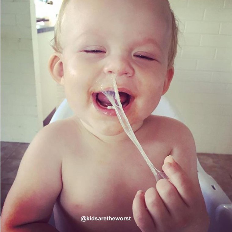 Смешная злая собака