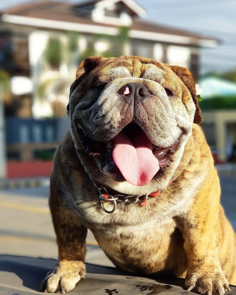 Сонный мужчина