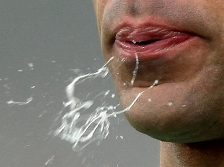 Слюнявый смешной кот