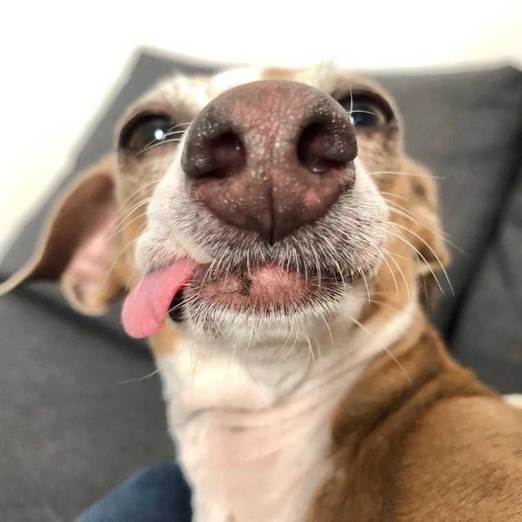 Слюнявый малыш