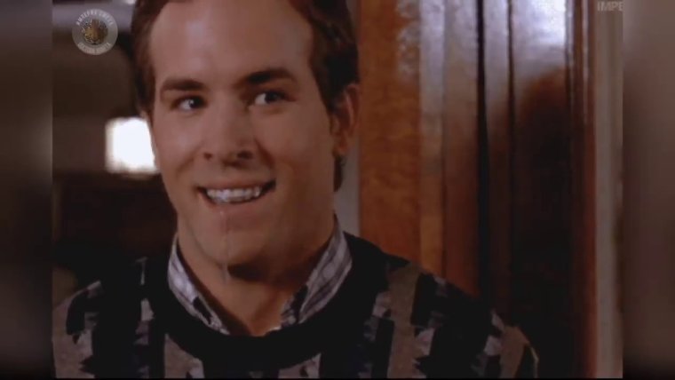 Собака отряхивается