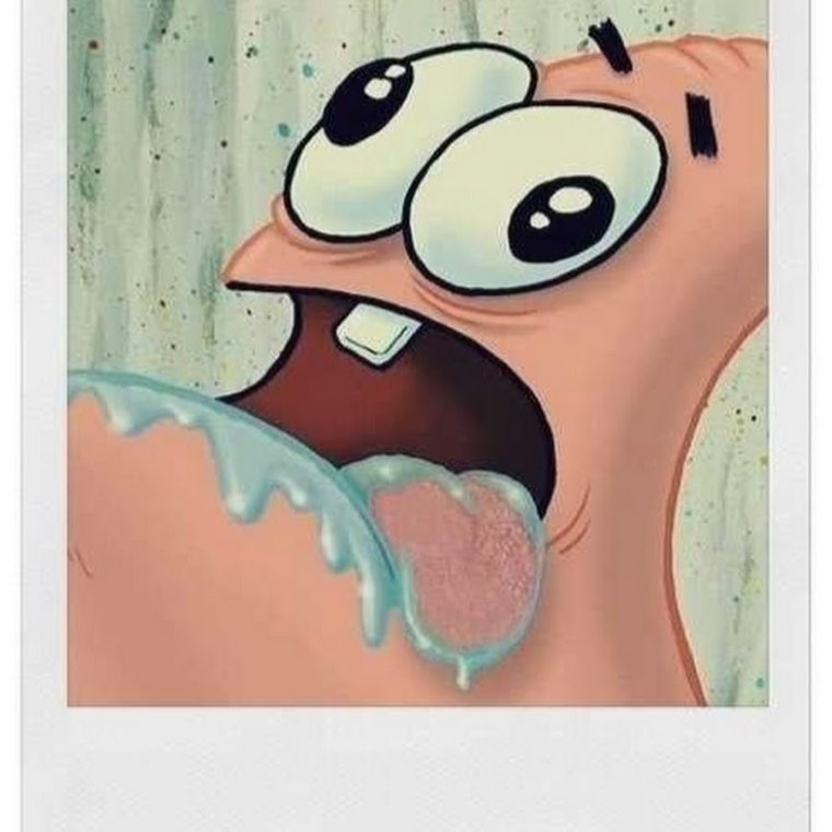 Мопс облизывается