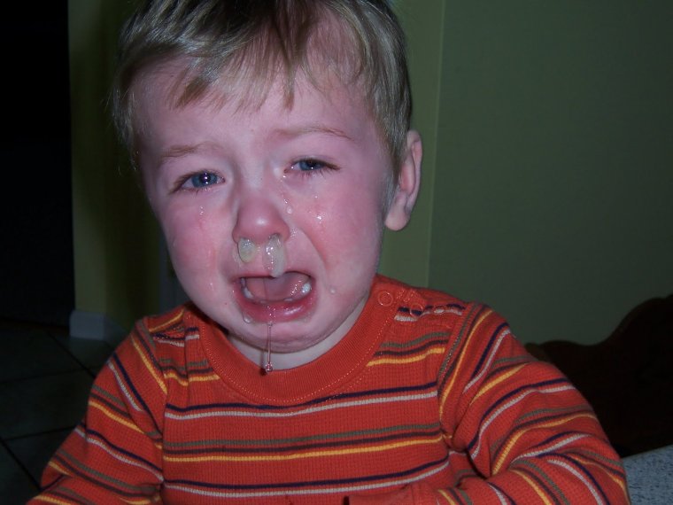 Шарпей Мопс английский бульдог