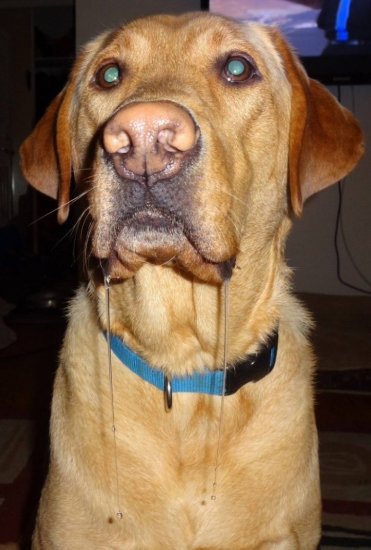 Плачущий ребенок с соплями