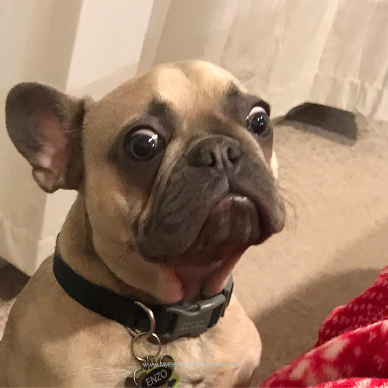 Облизывает губы