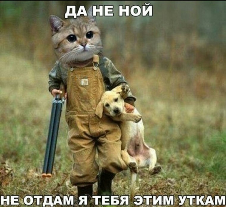 Животные с оружием