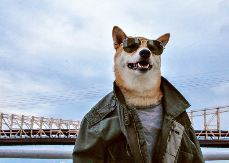 Смешные аватарки