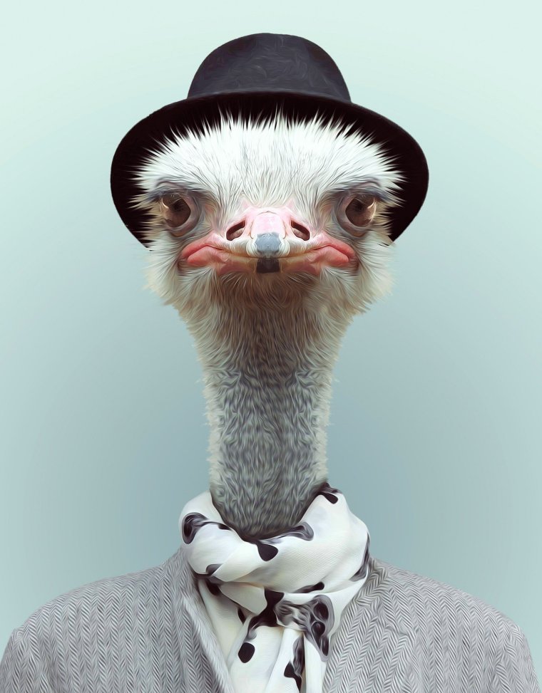 Забавные картинки на аву