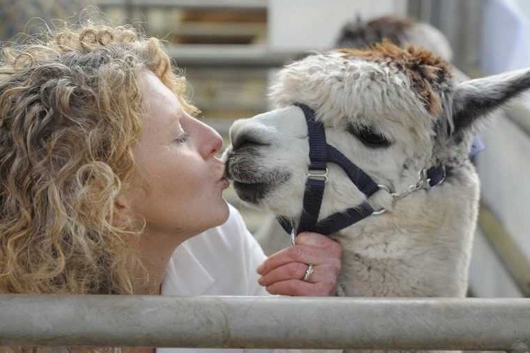 Всемирный день поцелуев