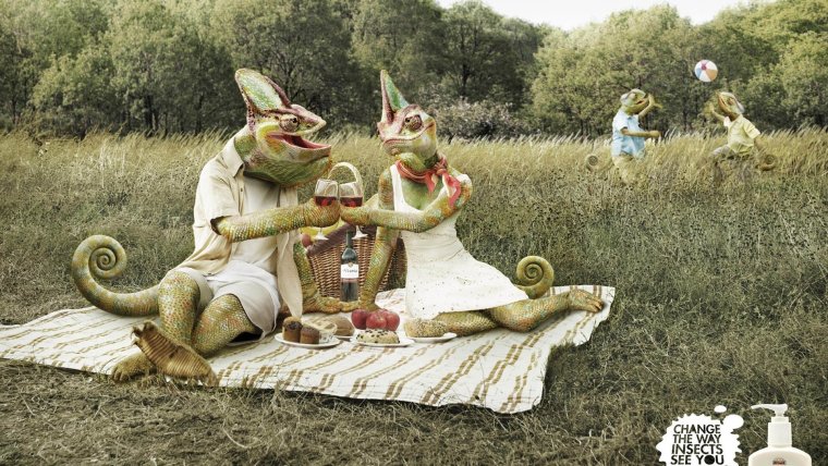 Пикник на природе смеш