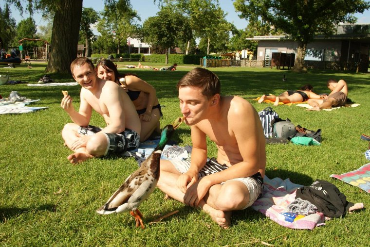 Приколы на природе отдохнули