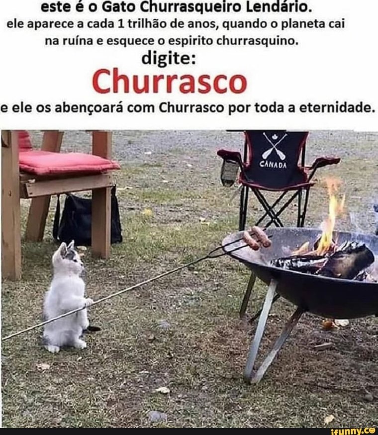 Собака на шашлыках смешно