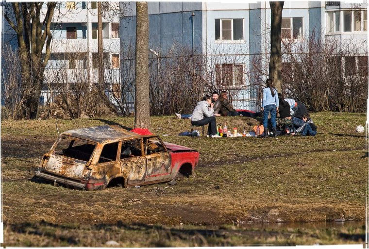 Медведь в природе