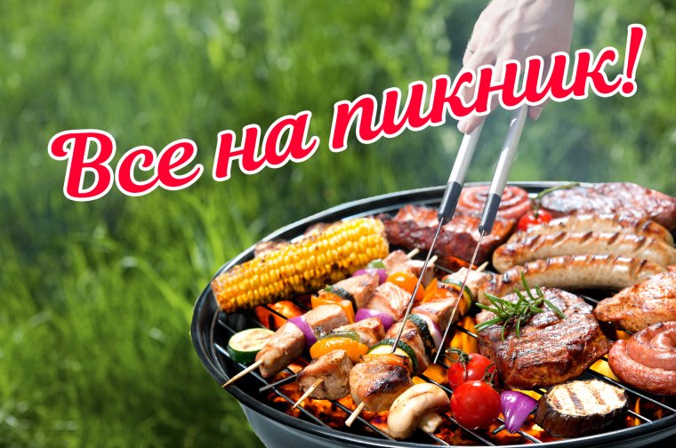 Люди отдыхают на природе