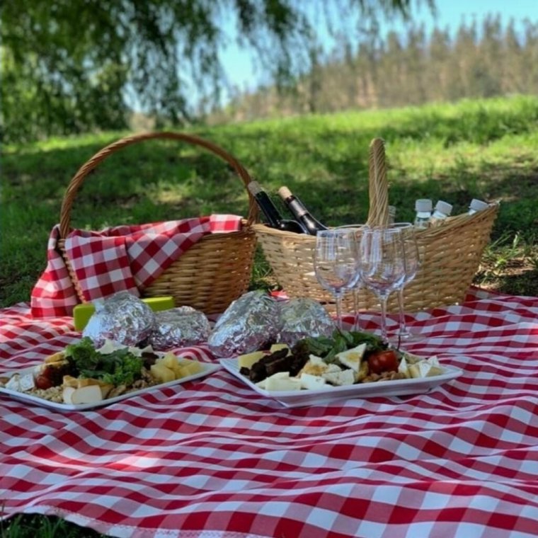 Красивые места для пикника