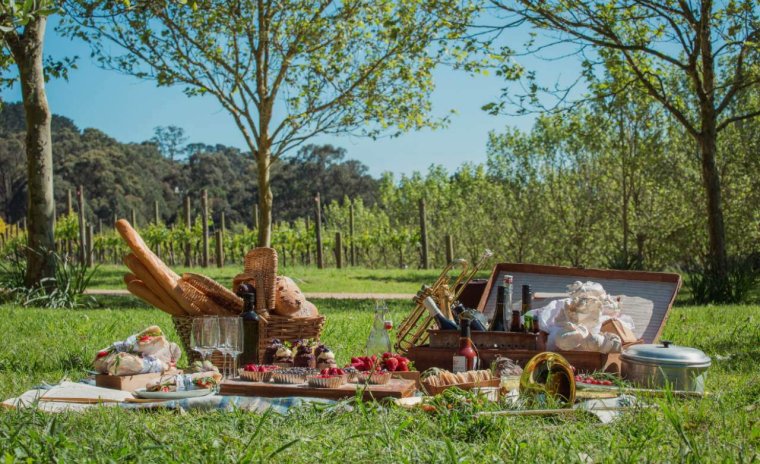 Летний пикник на природе