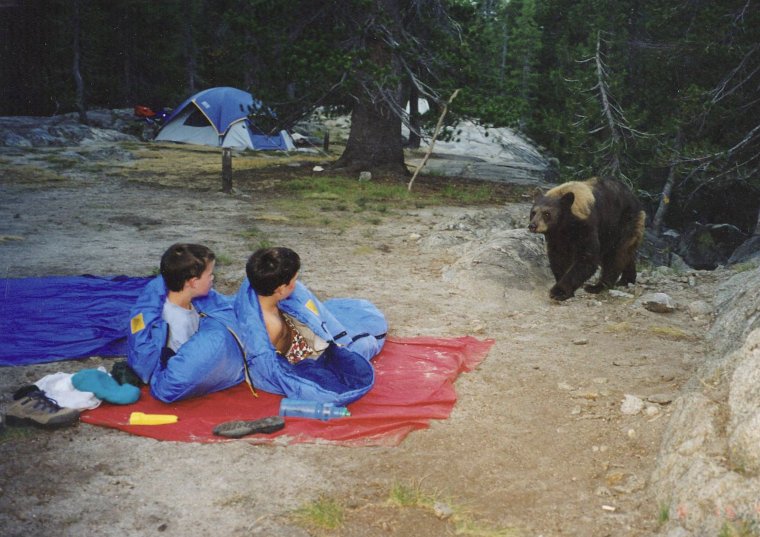Палатка демотиватор