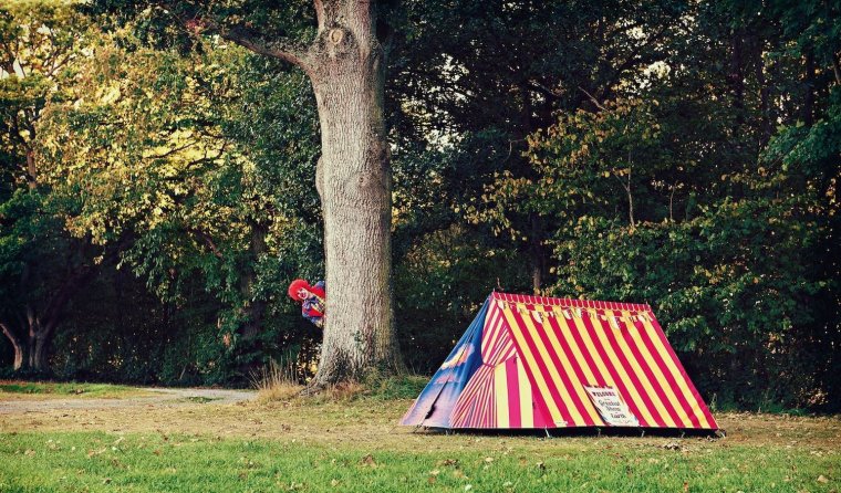 Необычные палатки оригинальные