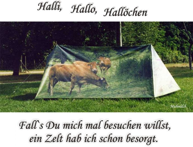 Палатка невидимка