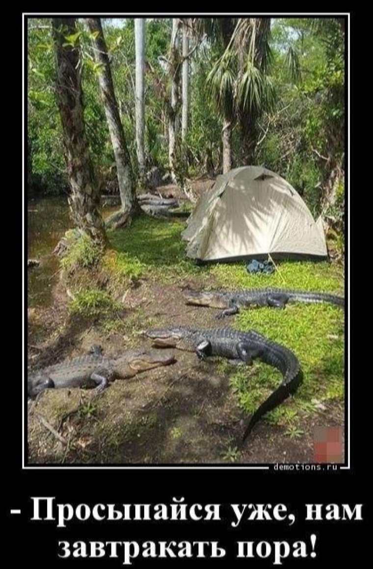 Палатка демотиватор