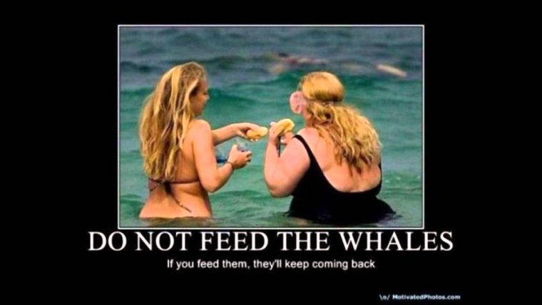 Женская Дружба прикол