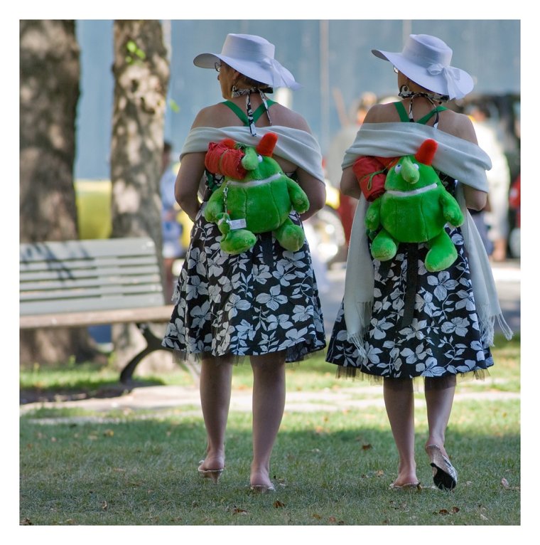 Две подруги прикол