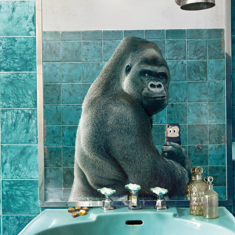 Обезьянка в ванной