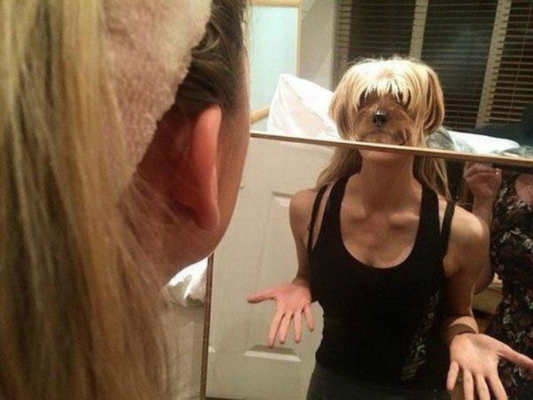 Смешное отражение в зеркале