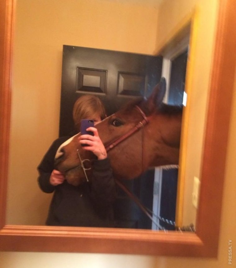 Приколы про селфи в зеркале