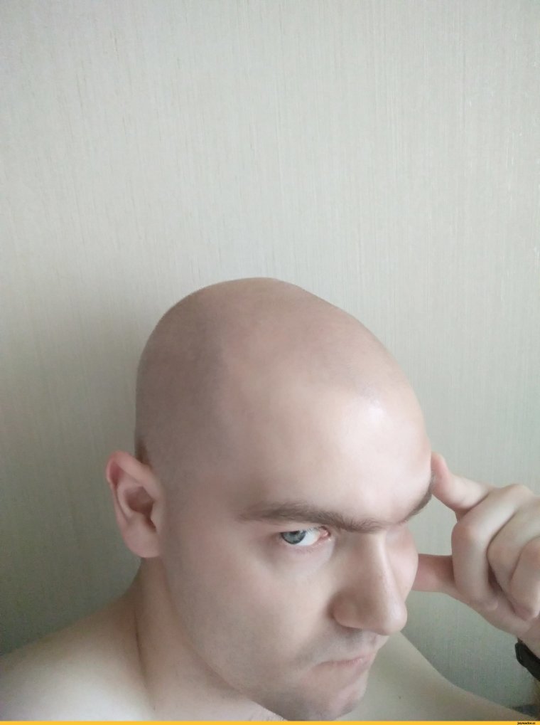 Эвилон лысый