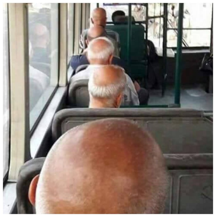 Приколы про сфинксов