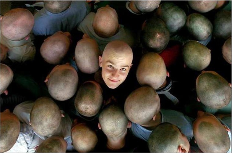 Много лысых мужчин