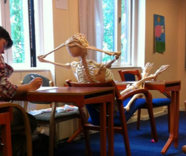 Прикольные училки на уроке