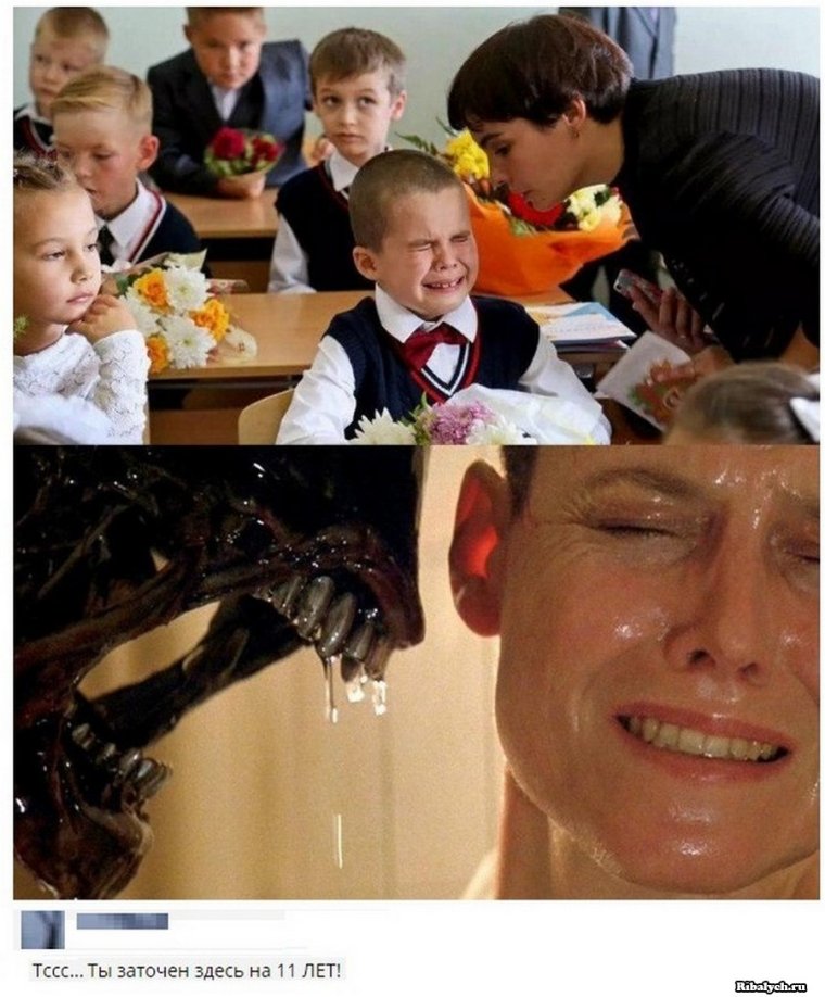 Приколы про школьников